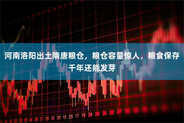 河南洛阳出土隋唐粮仓，粮仓容量惊人，粮食保存千年还能发芽